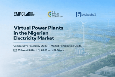 VPP in the Nigerian Electricity Market